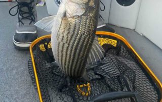 Wife catches fish number 5